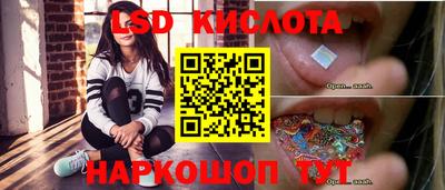 прущие грибы Можайск