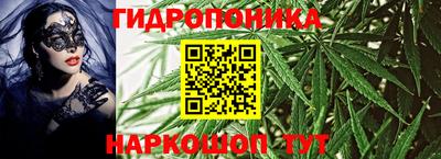 мдма Можга
