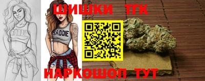 прущие грибы Можайск