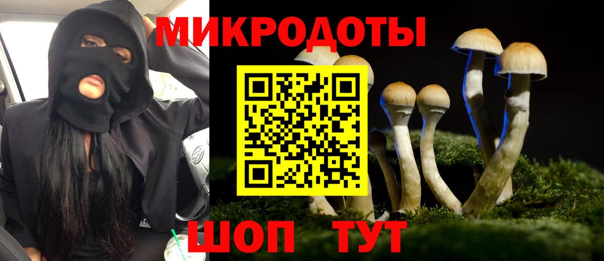 Галлюциногенные грибы GOLDEN TEACHER  Псилоцибиновые грибы GOLDEN TEACHER  Вход с VPN  Чистополь 